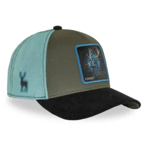 Casquette Forest bleu - Capslab